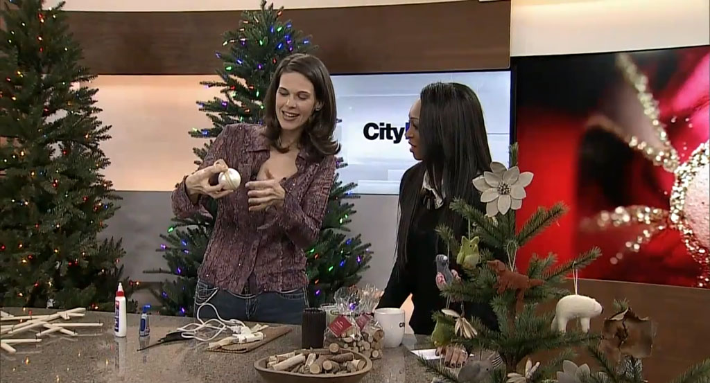 Cityline Guest Designer Celia Alida Rutte Shows How to Make a Wall Mounted Christmas Tree