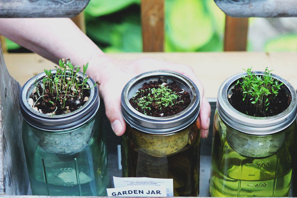 Design for Conscious Living - 3 Benefits of an Urban Garden and 3 Tips on How to Start One - Mason Jars for Planters (Photo by Photo by Janelle Hewines on Unsplash)
