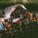 Design for Conscious Living - Fall Garden Checklist - Person Digging on Soil Using Garden Shovel - Photo by Lisa Fotios from Pexels