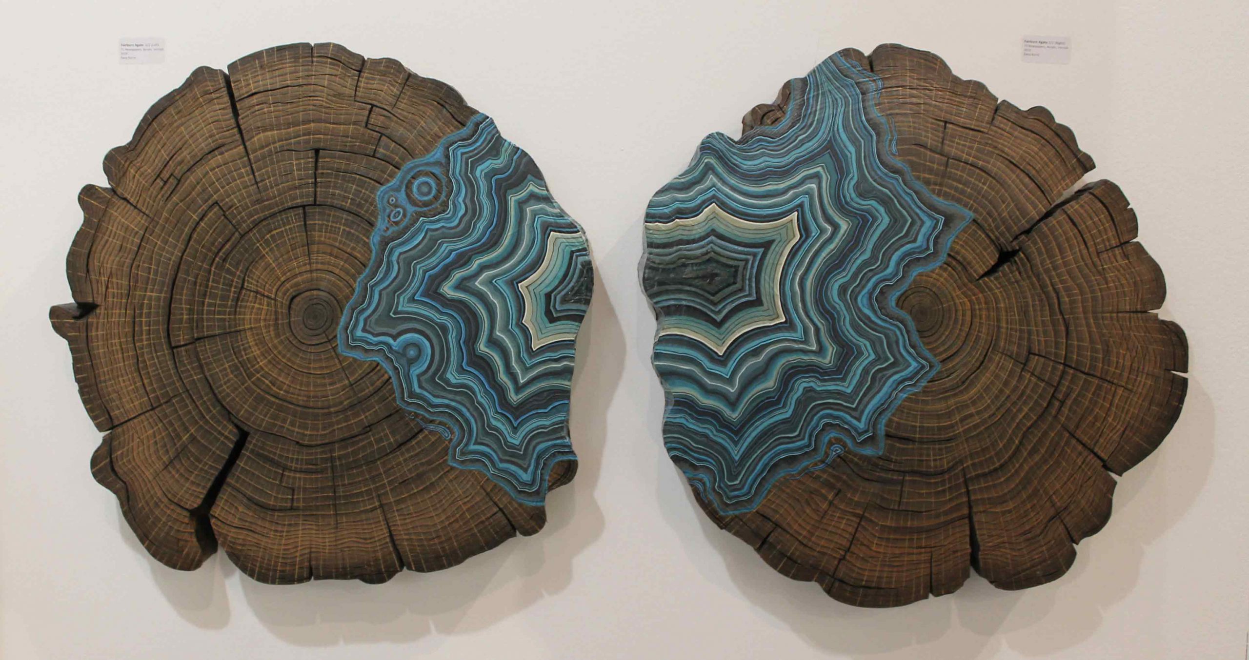 A series of artistic forms that replicate the look of the top of wood stumps with infused mineral coloured resin.