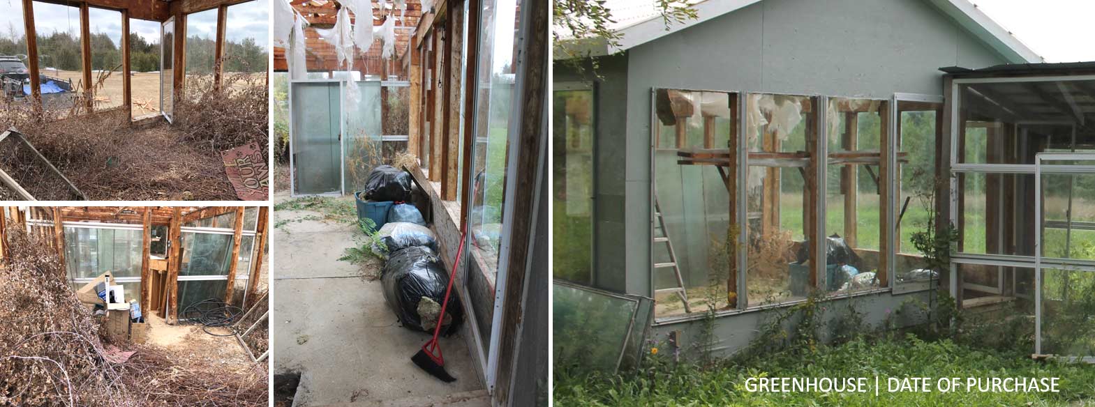A greenhouse filled with overgrown bushes, garbage and insulation hanging from the ceiling.