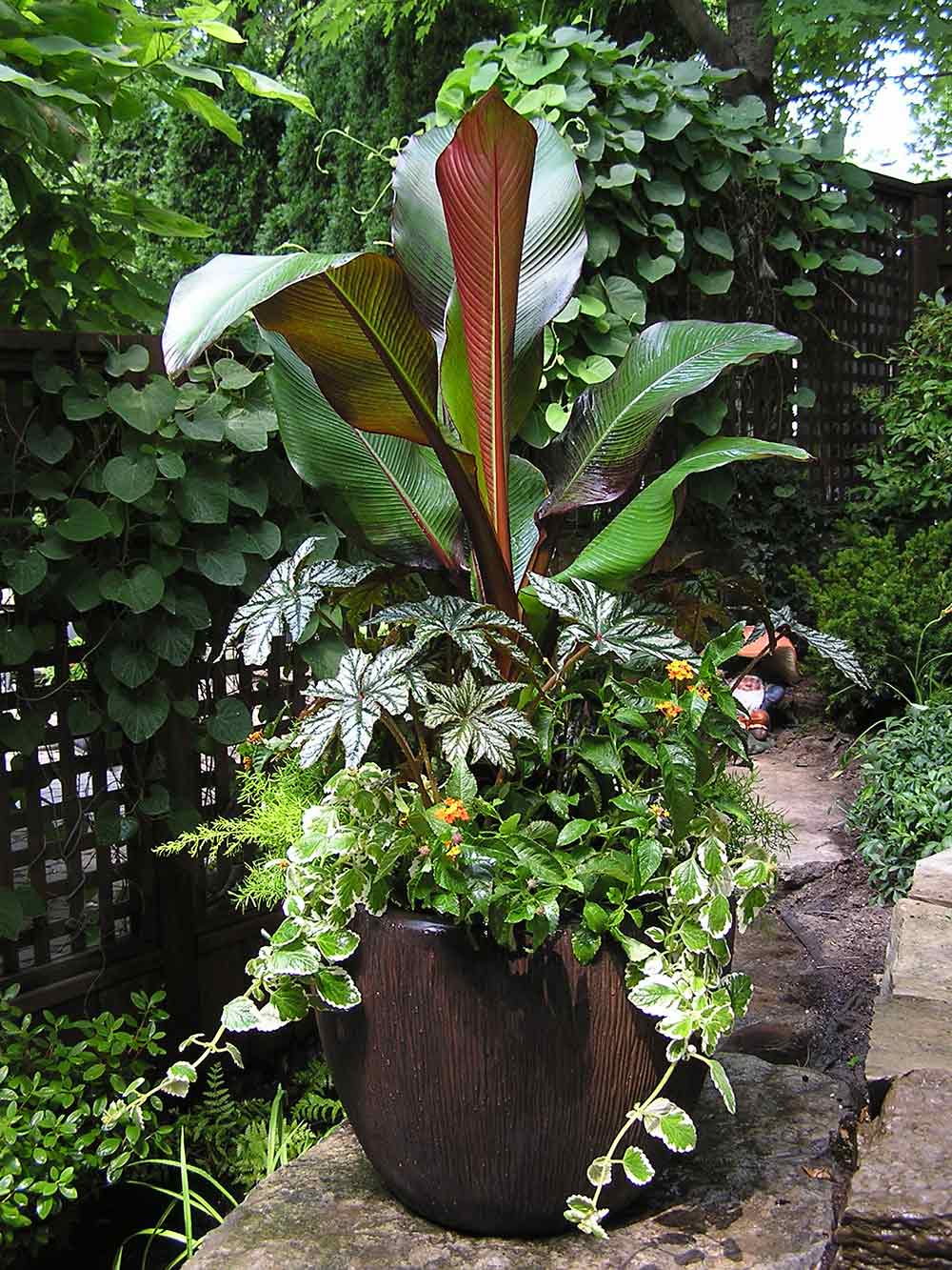 A large round brown planter with container plants that are twice the height of the planter.