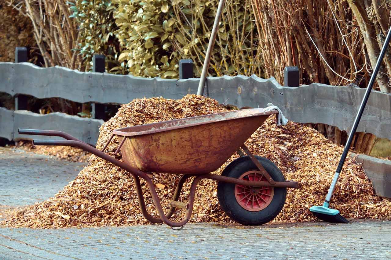 A wheel barrel beside a pile of light brown cedar mulch.