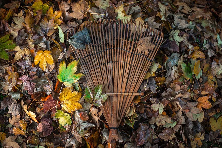 A wooden rack laying on top of a colourful leaf covered ground.